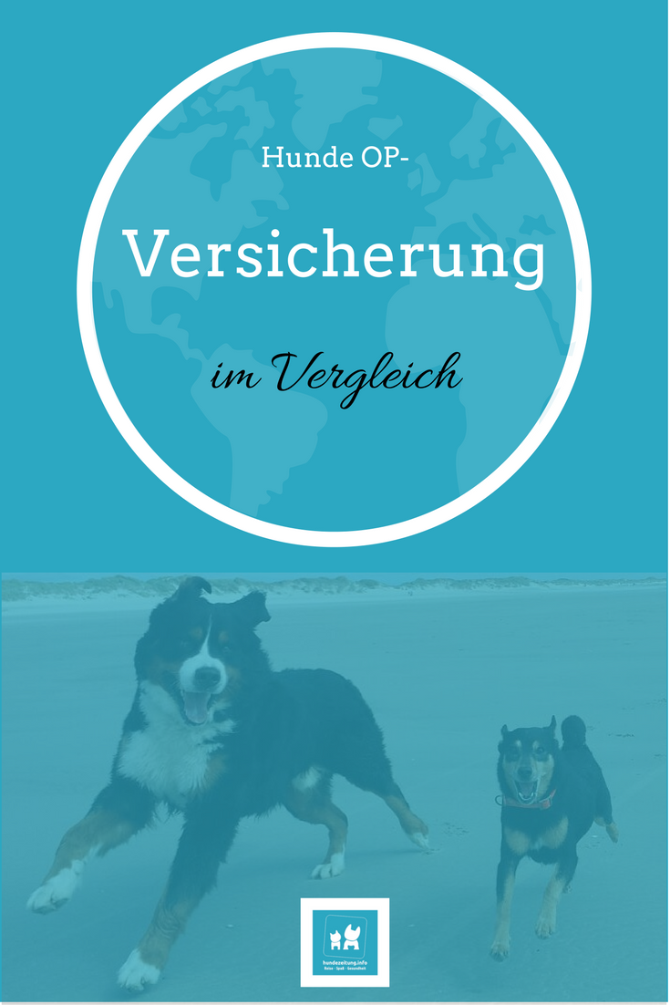 Hunde OP Versicherung