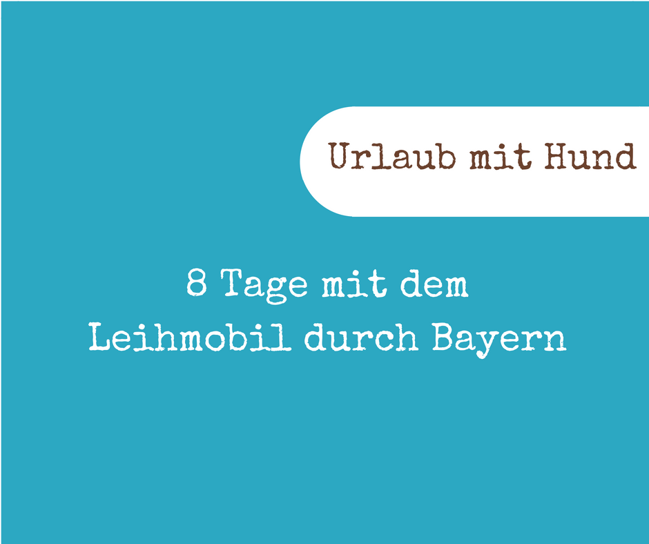 8 Tage Blogtitle