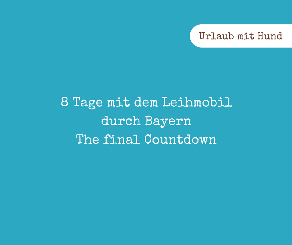 Urlaub mit Hund (1)