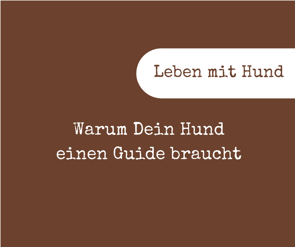 Guide Blogtitle