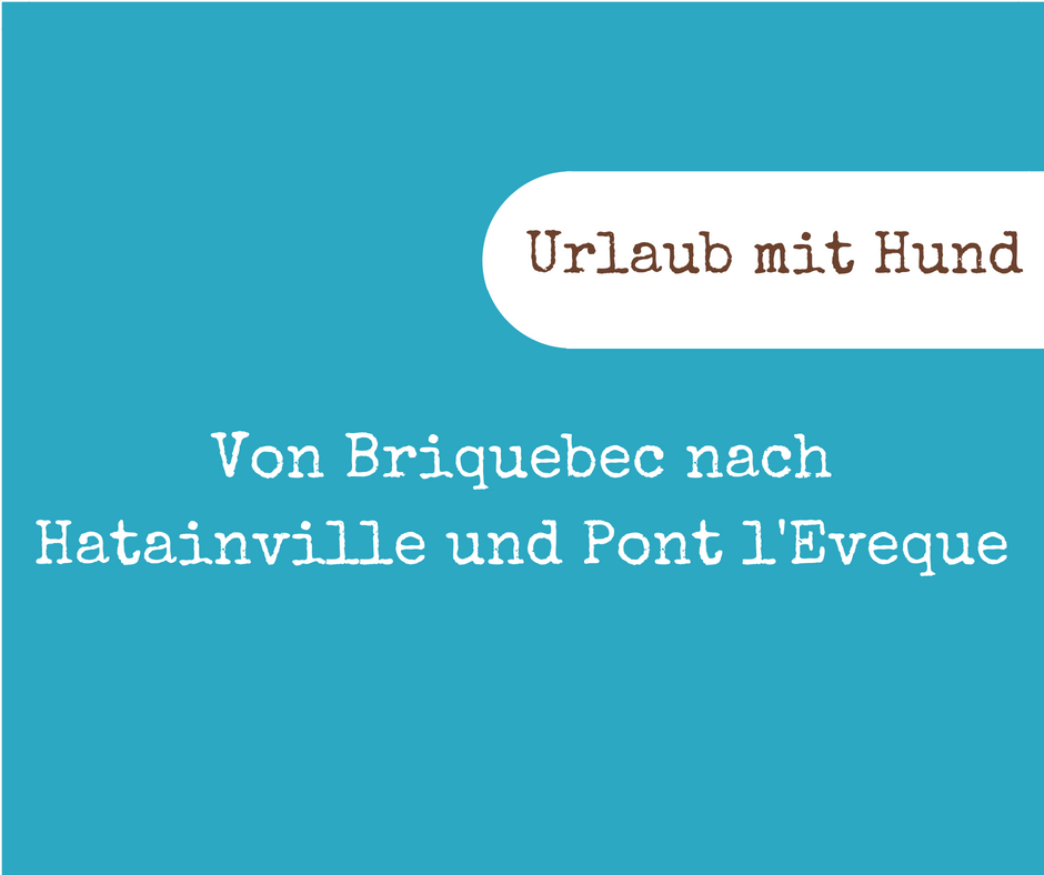 Von Briquebec nach Hatainville und Pont l'Eveque
