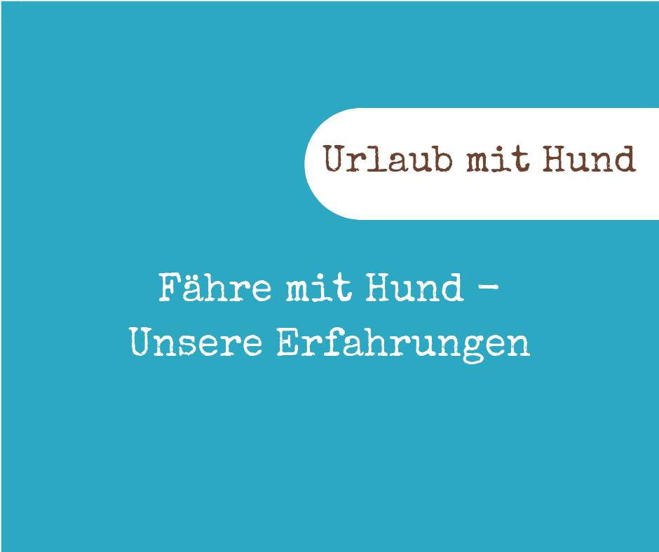 Fähre mit Hund
