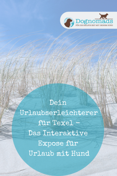 UE Pinterest