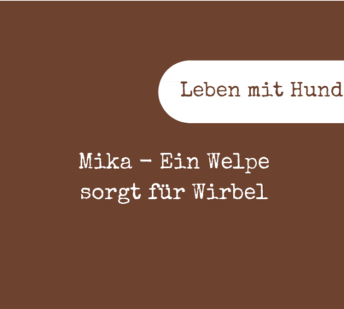 Welpe Griechenland (1)