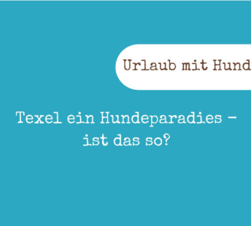 Blogbeitrag