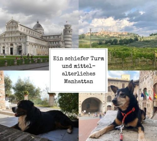 Format Blogbeitrag (1)