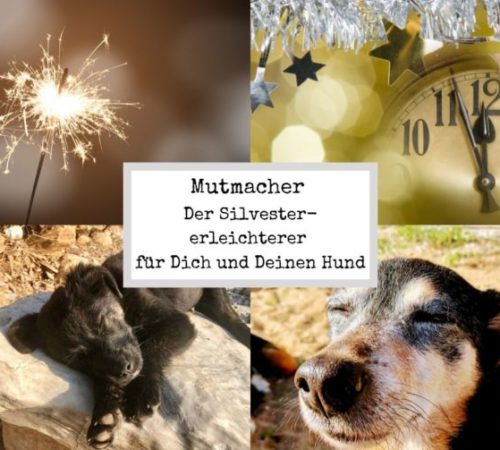 Format Blogbeitrag (2)