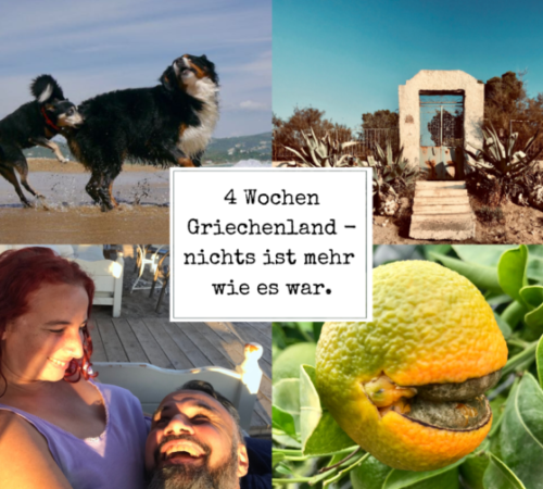 Format Blogbeitrag (2)