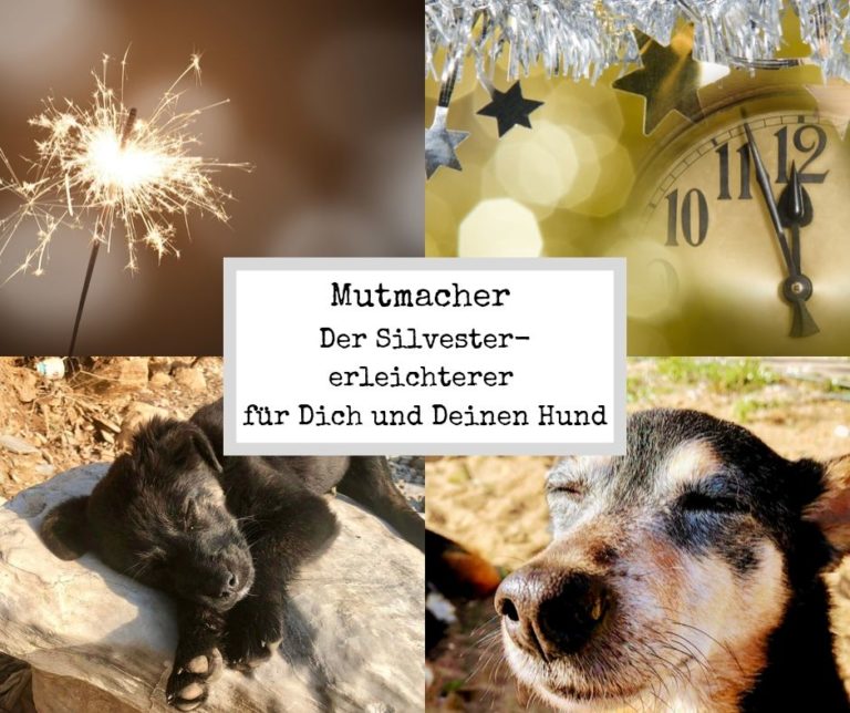 Mutmacher - für ein entspannteres Silvester mit Hund - Dognomads