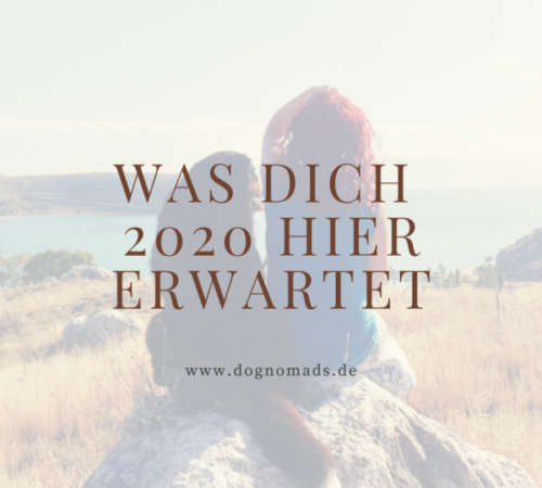 Dog-E-motion_Herz und Leine (7)
