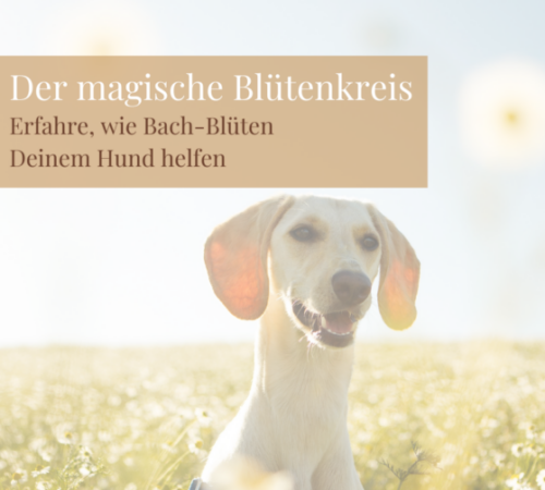 Format Blogbeitrag (13)